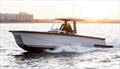 LINX 30 catamaran