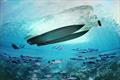 LINX 30 - Underwater