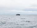 Archipelago 47 in Norway
