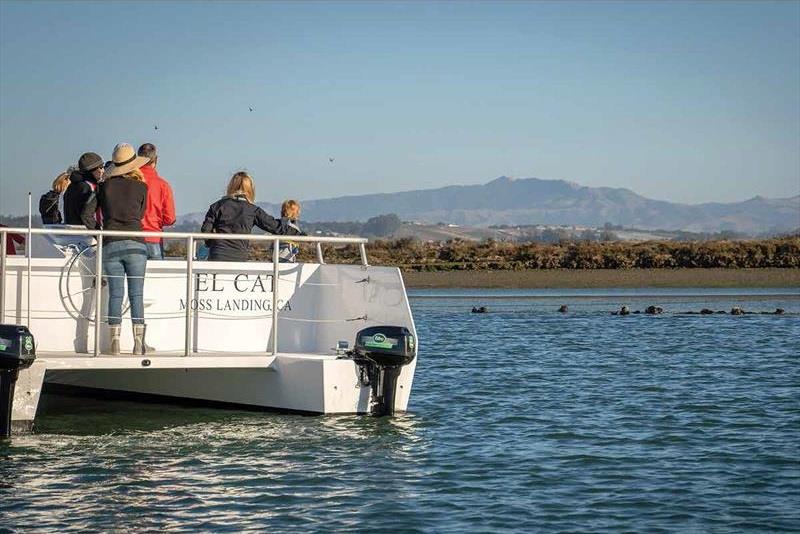Monterey Bay Eco Tours opts for electric propulsion photo copyright Martin Flory Group taken at  and featuring the Power Cat class
