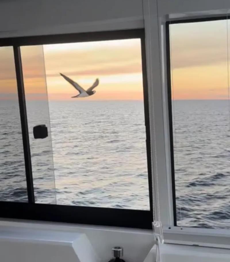 Australia to Nouméa aboard an Iliad 62 - photo © ILIAD Catamarans