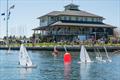 Remote-controlled model sailboats race in front of Sail Newport © Dave Hansen / Sail Newport