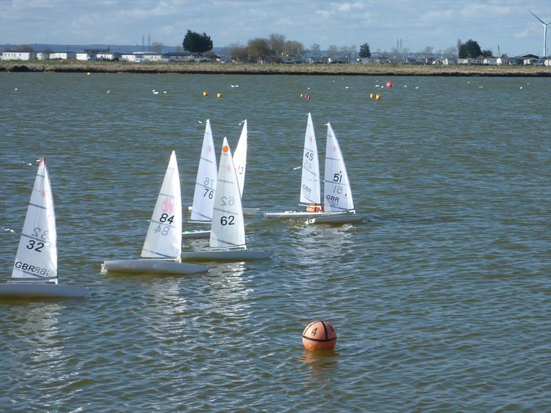 Medway RC Laser Club Winter Series week 8 photo copyright Fiona Blair taken at  and featuring the RC Laser class