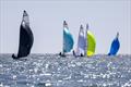 Noble Marine RS700 Nationals at Torbay &copy; Paul Gibbins Photography