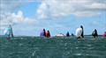 Race 8 downwind during the Zhik RS Elite UK Nationals at Hamble © Debbie Jarvis