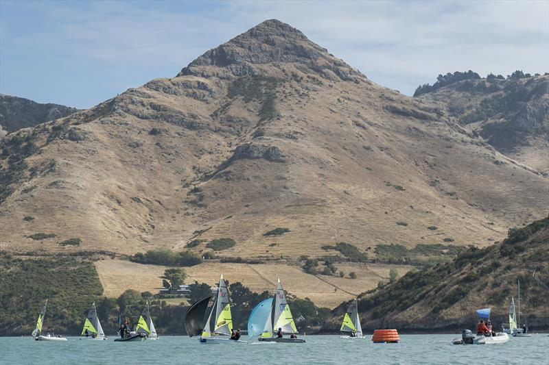 RS Fevas racing in the SailGP Inspire program - Lyttelton - March 23, 2024 - photo © Justin Mitchell