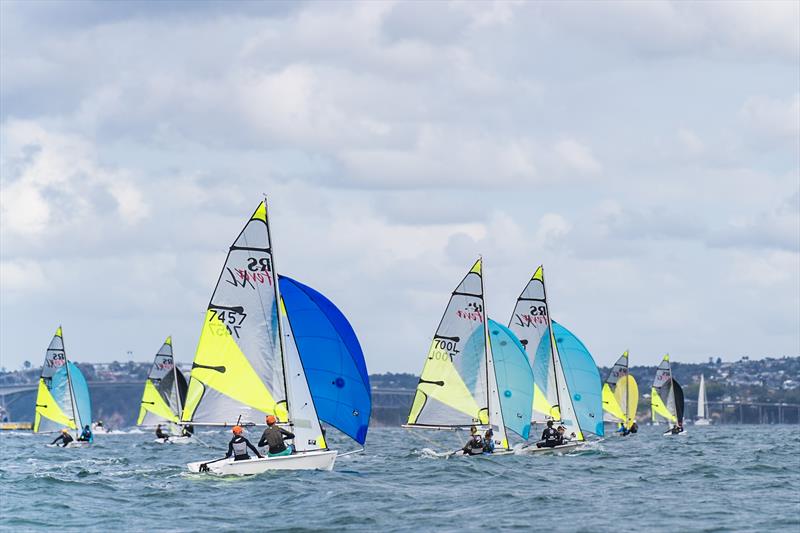 Day 2 - SailGP Inspire- RS Feva - Royal Akarana YC - Jan 18, 2025 - photo © Justin Mitchell www.justinmitchell.co.nz - Instagram: @jl_mitchell_