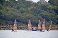 2024 IW Youth and Junior Championship Series at Gurnard © Jenny Preston