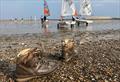 RYA Welsh Youth and Junior Championships © Hester Walker