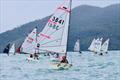62nd Australian Sabot Championships &copy; Tony Ritter