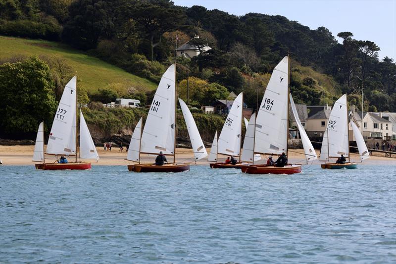 salcombe yacht club opening times