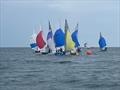 Scorpion Open at Sidmouth Sailing Club © Richard Gatehouse