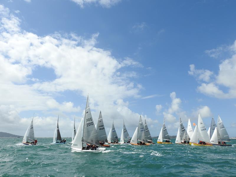 Gul Scorpion Nationals at Castle Cove - photo © Amy Forbes