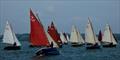 Racing fleet off the start line during the Shrimper 19 Open Championship 2024 © Jeanette Ruberry