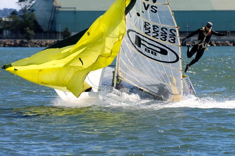 Cock of the Harbour carnage - 2019 SailFest Newcastle, Day 2 - photo © Mark Rothfield