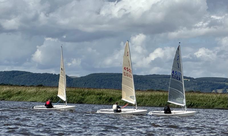 HD Sails Scottish Solo Travellers at Newburgh photo copyright Linda Harold taken at Newburgh Sailing Club and featuring the Solo class