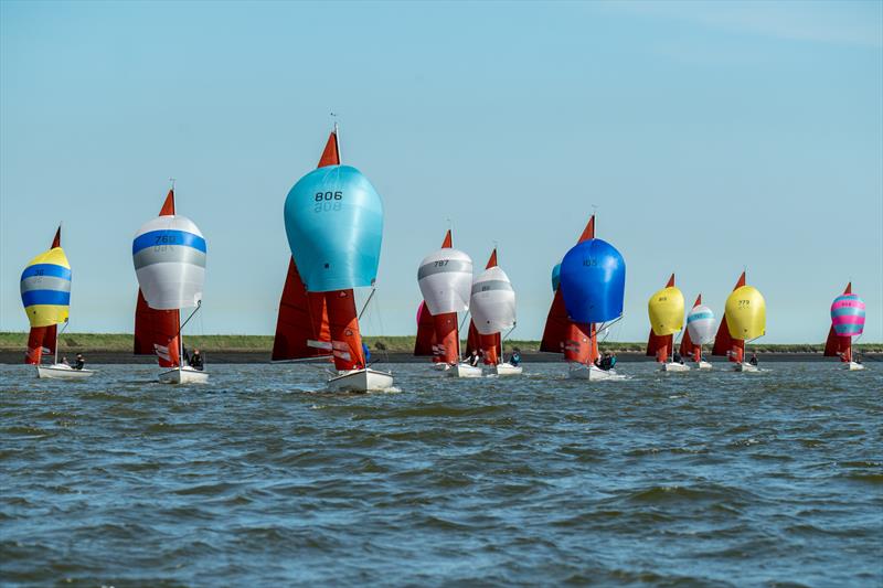 Squibs sailing on the river Crouch - photo © Petru Balau Sports Photography / sports.hub47.com