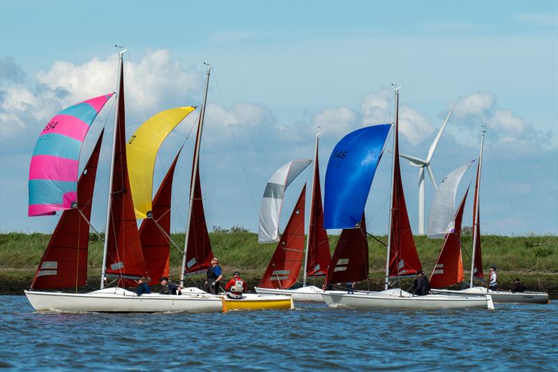 Squibs sailing on the river Crouch - photo © Petru Balau Sports Photography / sports.hub47.com