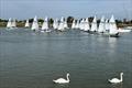 25 boats fill the River Crouch at the Up River Streaker Open &copy; Jane Berry