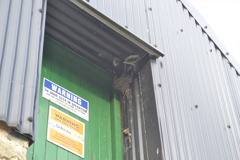 A swallow nest causes delay on Solva Sailing Club's new changing rooms are officially opened photo copyright Helen Hughes taken at Solva Sailing Club and featuring the  class