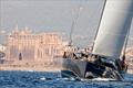 Superyacht Cup Palma in 2024 © Sailing Energy