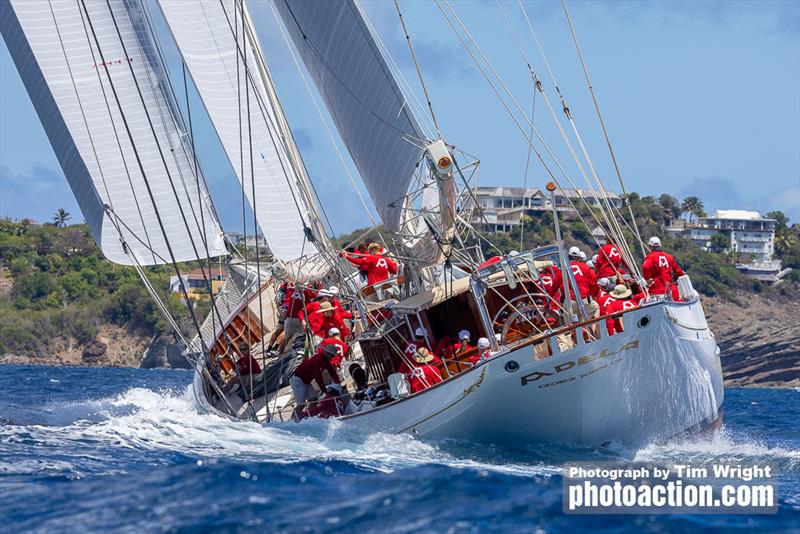 2025 Superyacht Challenge Antigua - photo © Tim Wright / Photoaction.com