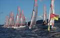 Close to the pin during a race start at the NSW Tasar State Championship 2021 © Paul Bellamy