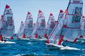 2024 Tasar World Championships at Sandringham Yacht Club: Full on Tasar! © Beau Outteridge