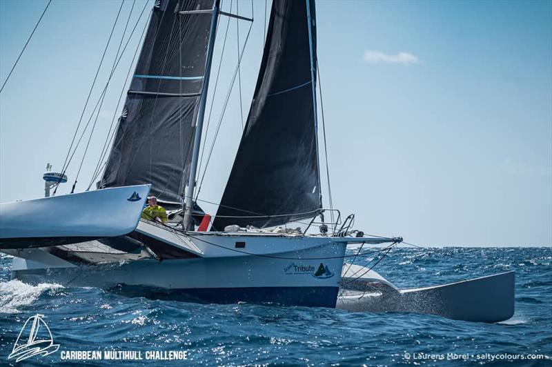 2025 Budget Marine Windies Multihull Trophy - photo © Laurens Morel (saltycolours.com) / Caribbean Multihull Challenge