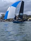 Geotherm had the goods today - 12ft Skiff Paramatta River Championship &copy; NSW 12ft Sailing Skiff Association