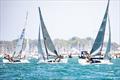 2024 NSW State Championship © Andrew Snell @sailorgirlhq