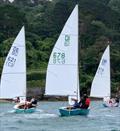 Yachting World Dayboats at the Salcombe Town Regatta 2024 © Simon Bullingham