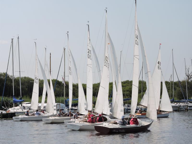 Horning Sailing Club Regatta Week 2024 photo copyright Holly Hancock taken at Horning Sailing Club and featuring the Yeoman/Kinsman class